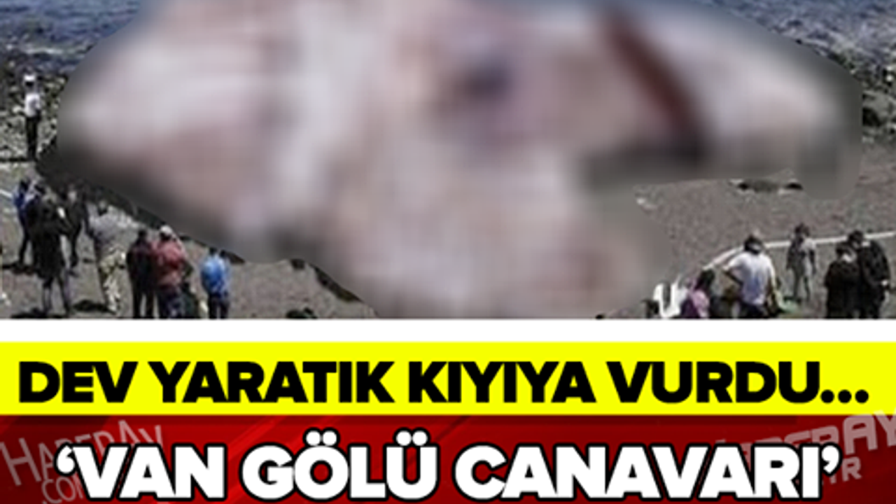 'VAN GÖLÜ CANAVARI' EFSANESİ GERÇEK OLDU!