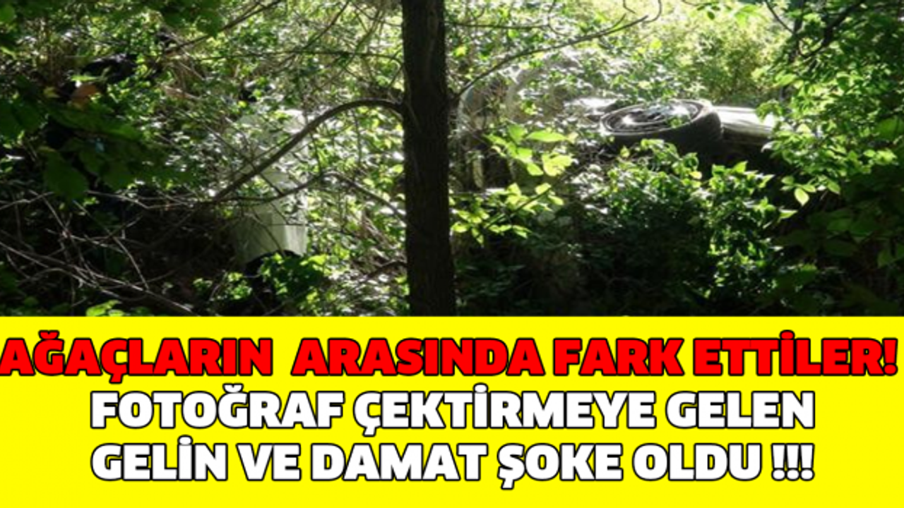 AĞAÇLARIN  ARASINDA FARK ETTİLER! FOTOĞRAF ÇEKTİRMEYE GELEN GELİN VE DAMAT ŞOKE OLDU!!!