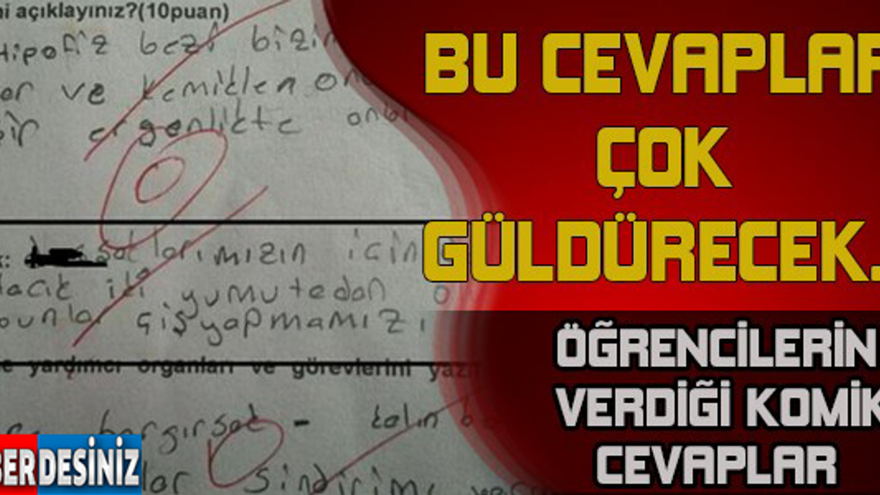 bu cevaplar çok güldürüyor