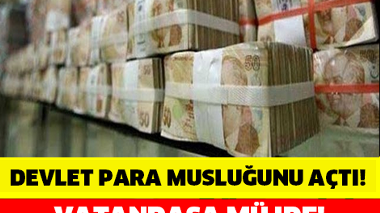 Maliye bakanı açıkladı! Milyonlarca vatandaşa müjde! Herkese tamı tamına 355 tl veriliyor!
