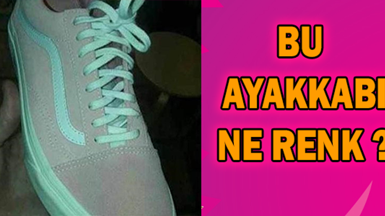 Bu ayakkabı ne renk ?