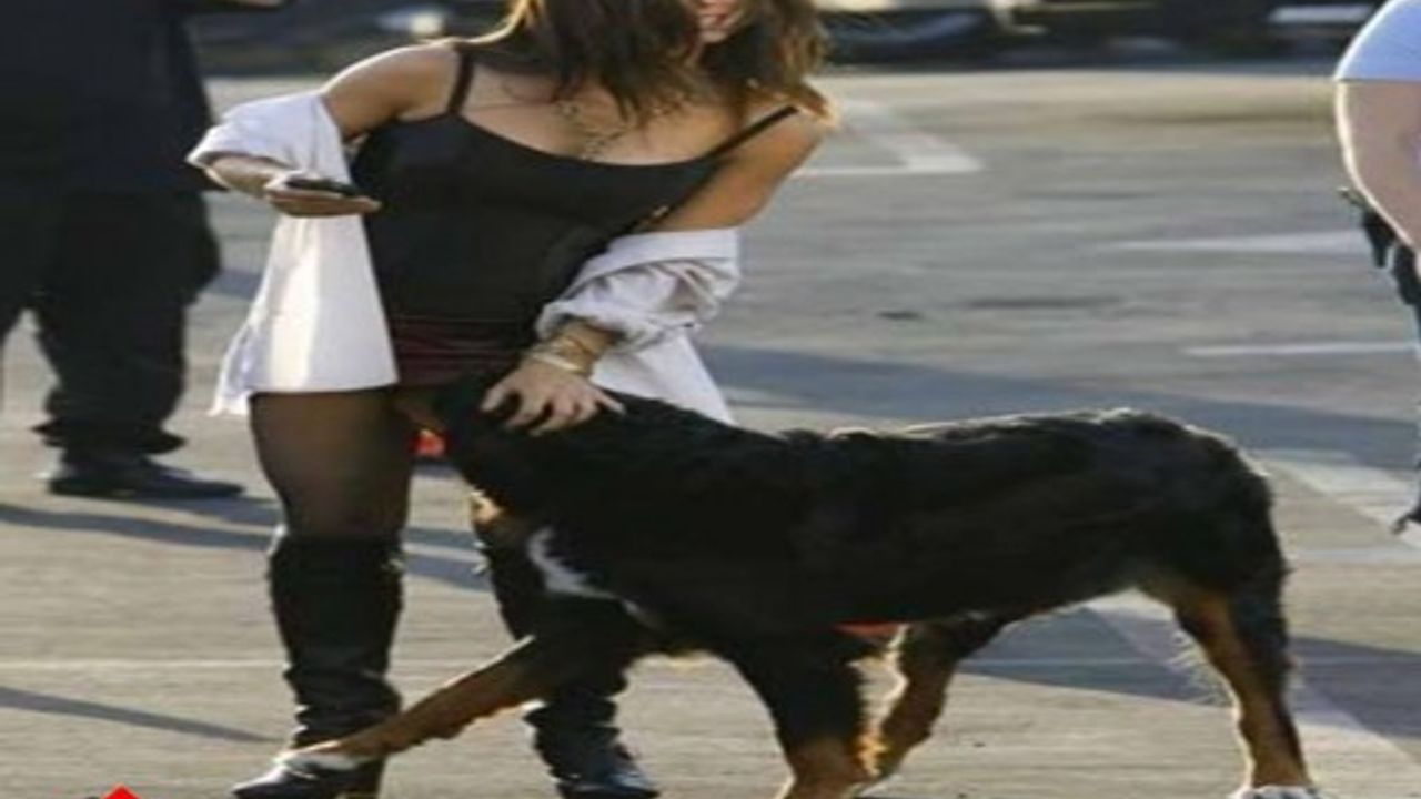 Gülmekten Yerlere Yatacağınız 12Fotoğraf