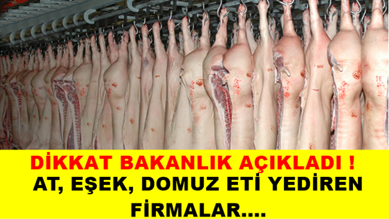 AT, EŞEK, DOMUZ ETİ YEDİREN FİRMALAR….