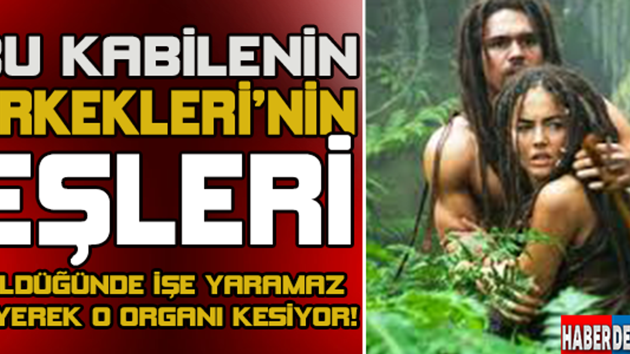 BÖYLE KABİLE OLAMAZ DİYECEKSİNİZ