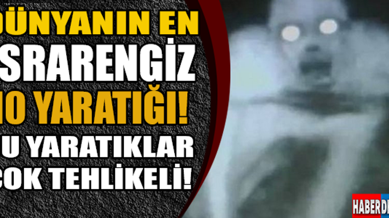 DÜNYANIN EN ESRARENGİZ 10 YARATIĞI