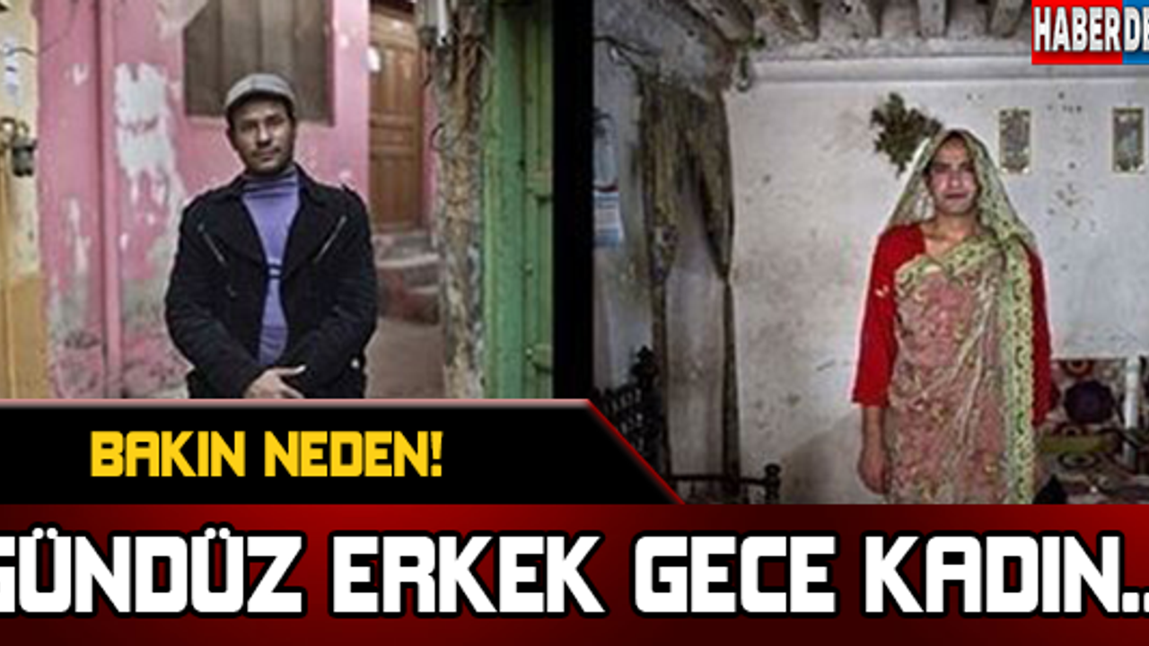 GÜNDÜZ ERKEK, GECE KADIN... BAKIN NEDEN!