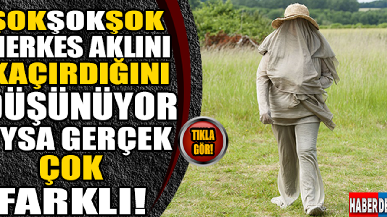 Herkes aklını kaçırdığını düşünüyor