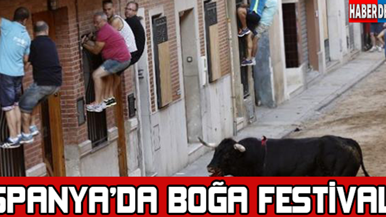 İspanyada boğa festivali