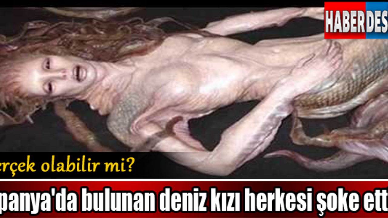 İspanya'da bulunan deniz kızı herkesi şoke etti!
