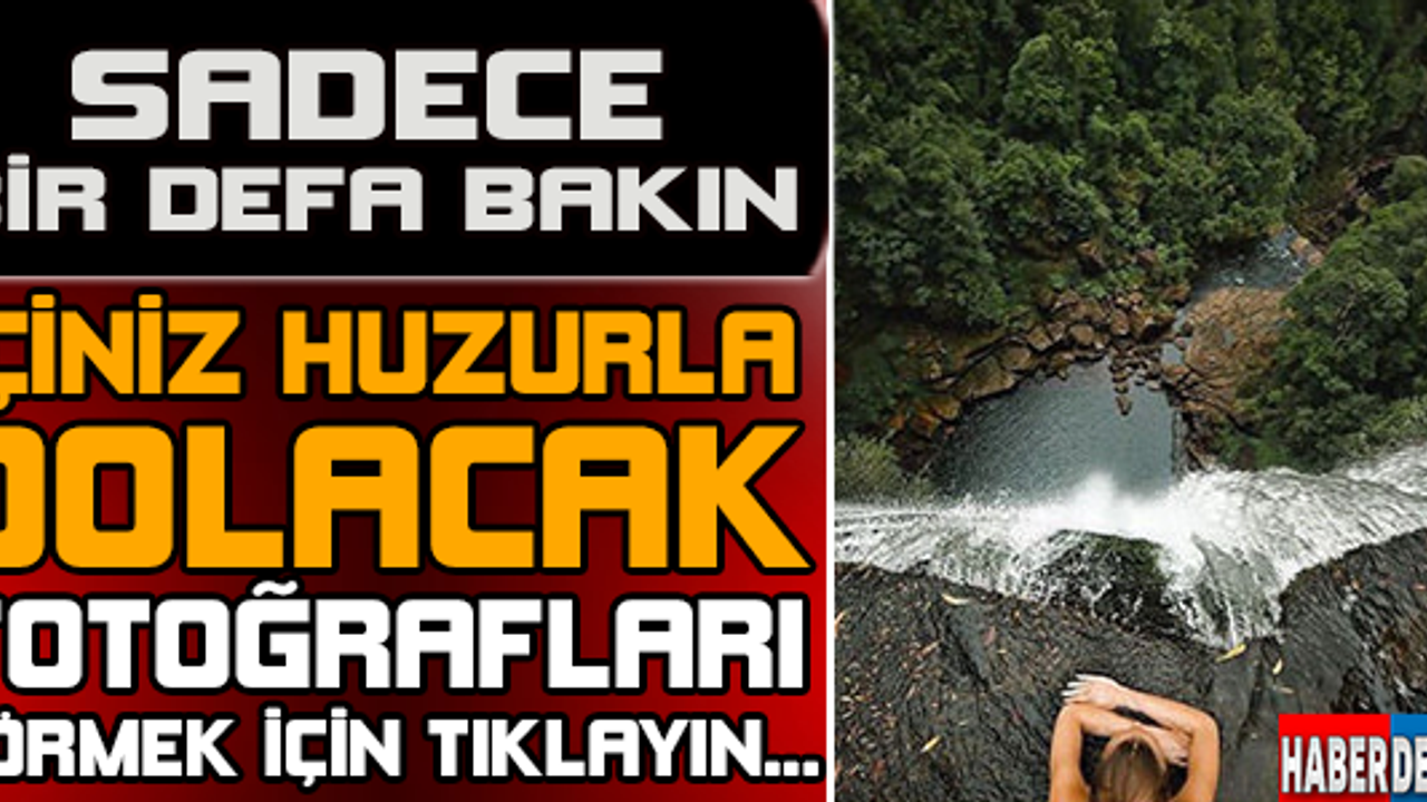 Mükemmel  fotoğraflar...