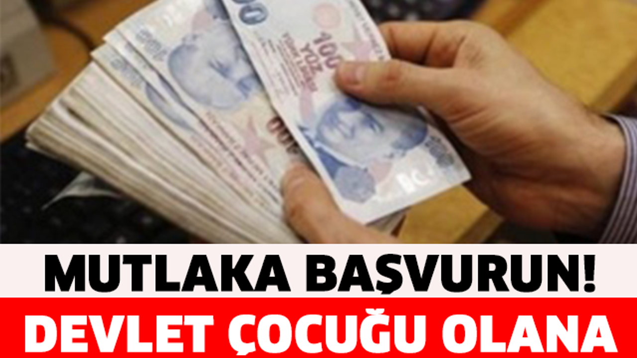 DEVLET İSTEYENE BU PARAYI VERECEK!!!