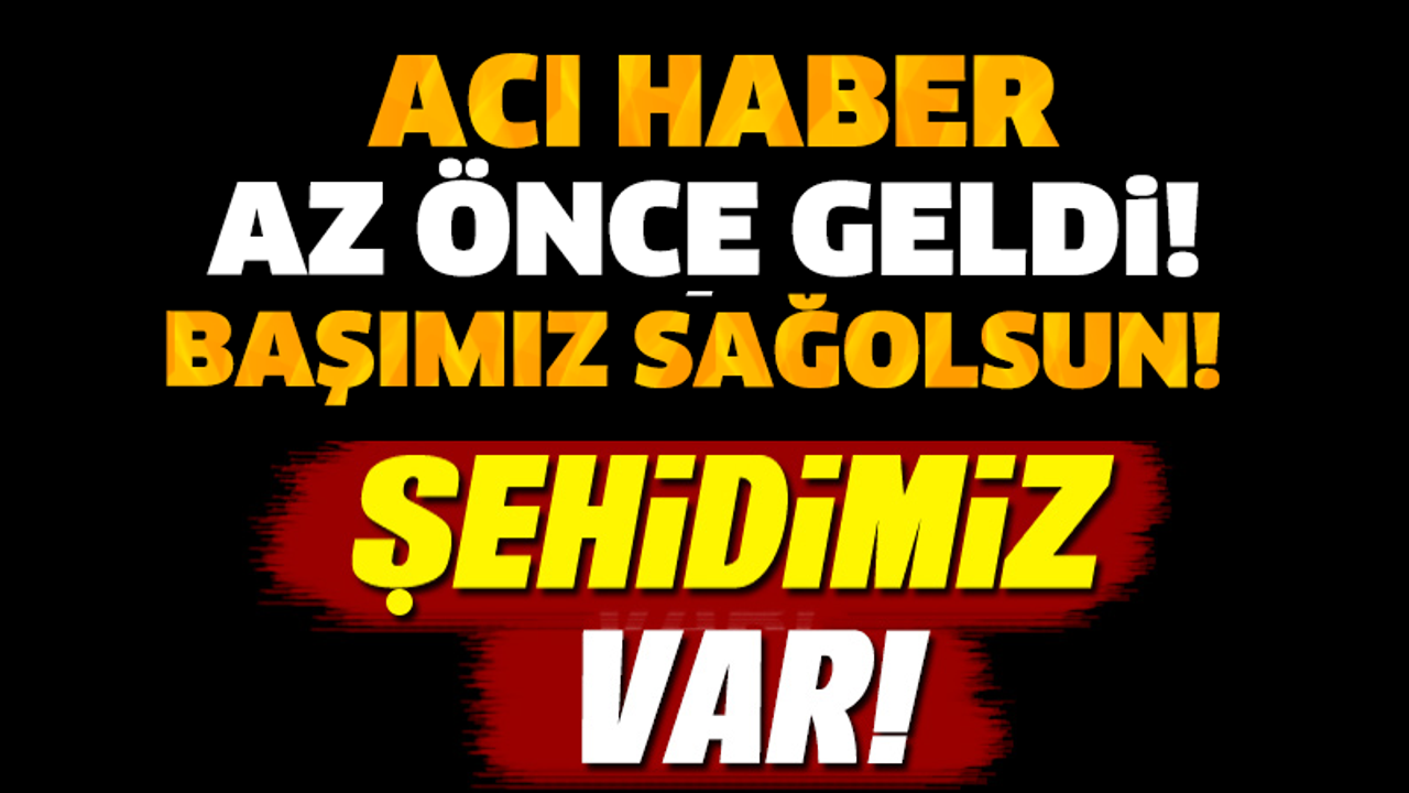 SON DAKİKA! ACI HABER GELDİ! ÇOK SAYIDA ŞEHİDİMİZ VAR...