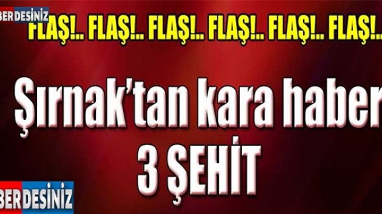 Şırnak'tan yürek yakan son dakika haberi: 3 şehit