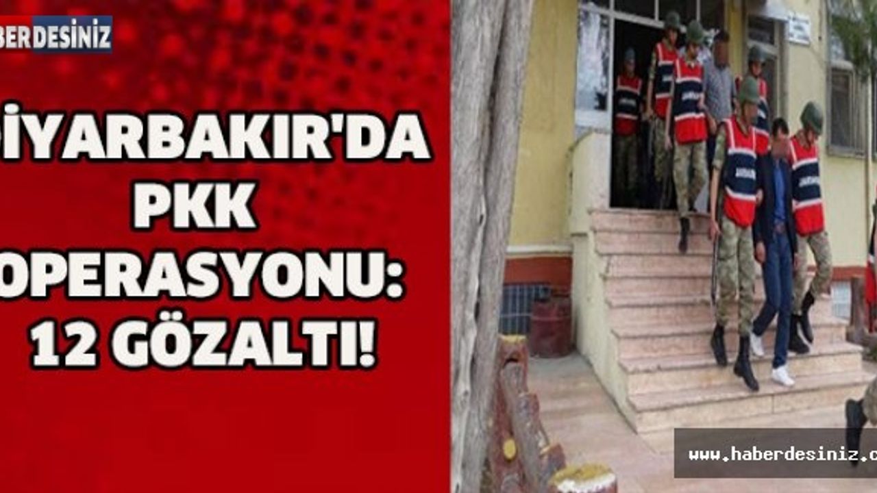 DİYARBAKIR'DA PKK OPERASYONU: 12 GÖZALTI!