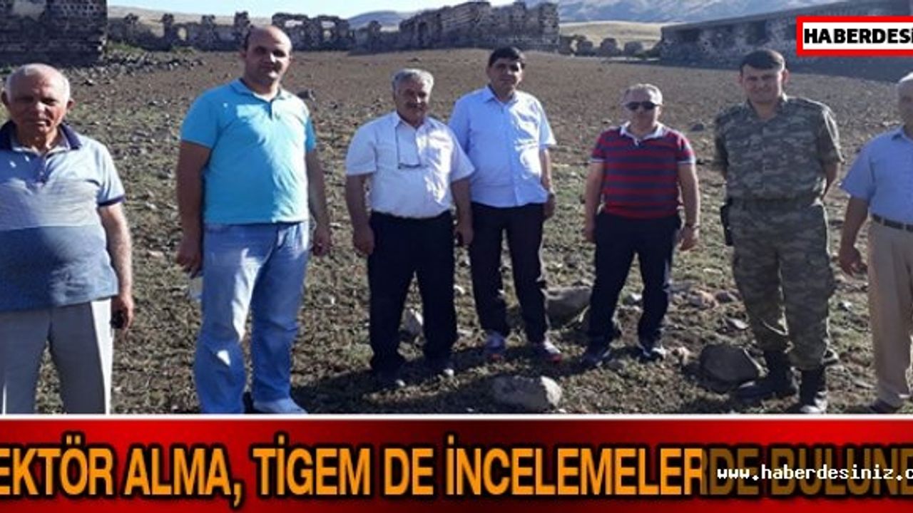 Rektör Alma, Tigem De İncelemelerde Bulundu