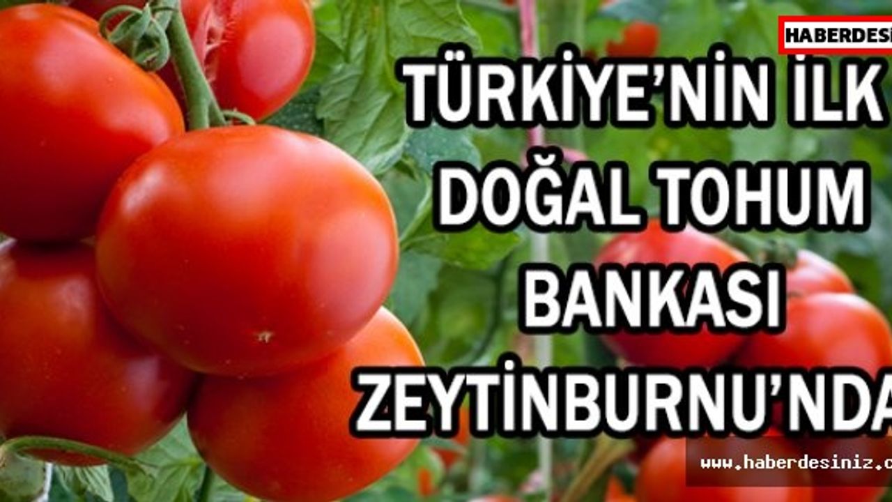 TÜRKİYE’NİN İLK DOĞAL TOHUM BANKASI ZEYTİNBURNU’NDA!