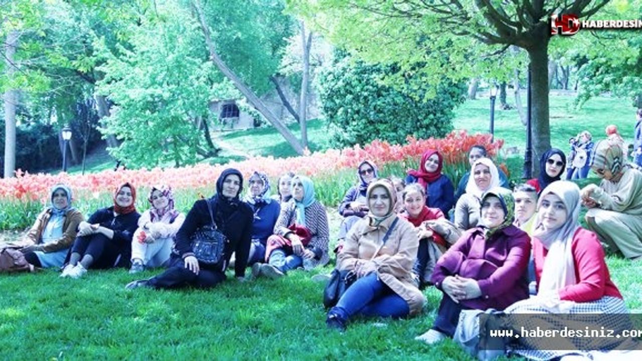 Emirgan Korusu'nda Tarihi Gezi