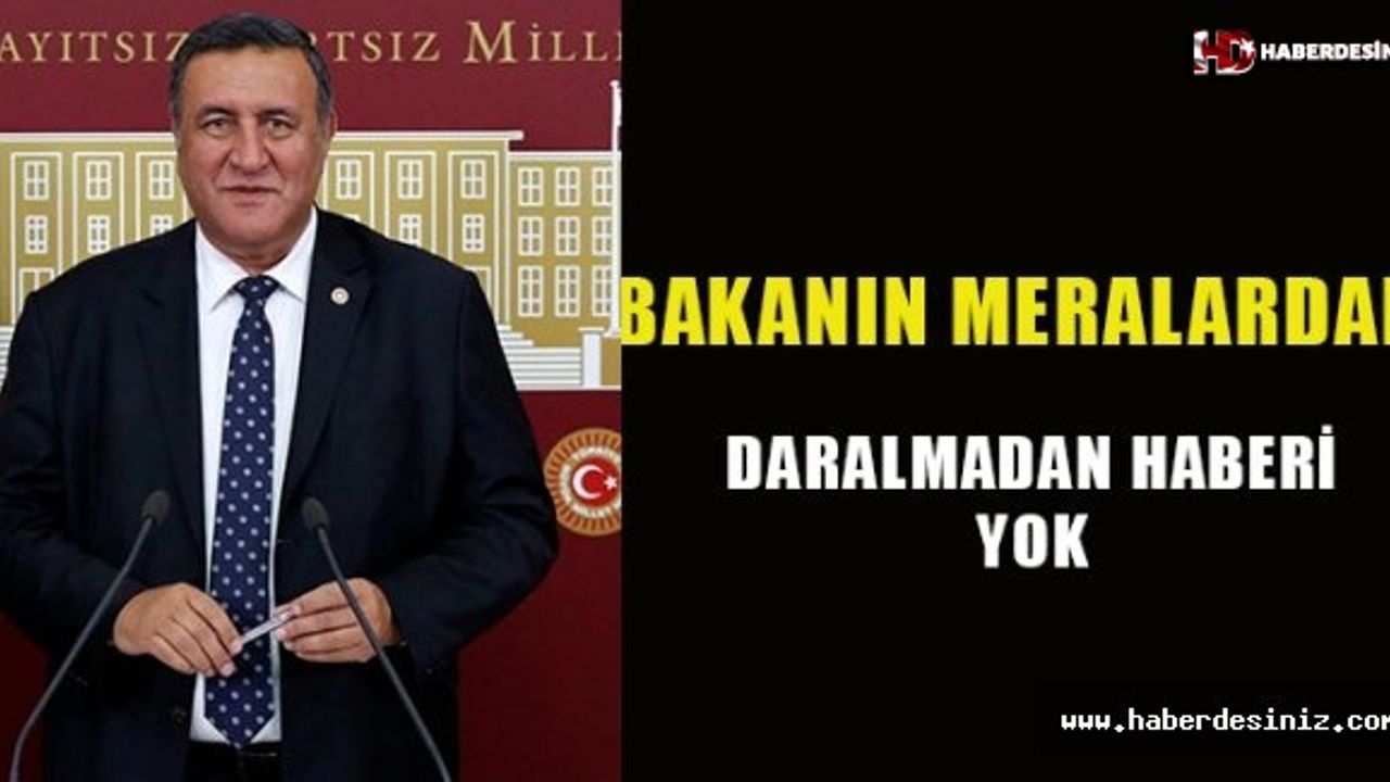 Gürer: “Bakan’ın meralardaki daralmadan haberi yok!”