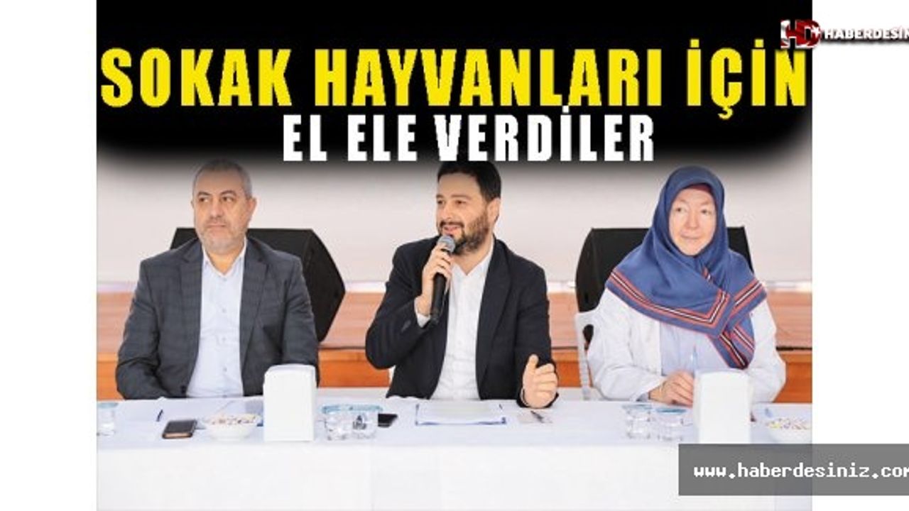 Sokak hayvanları için el ele verdiler..!