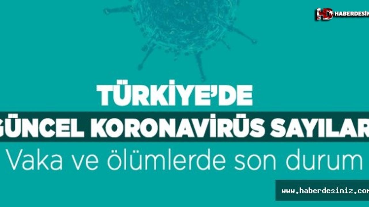 Türkiye'de koronavirüsten ölenlerin sayısı 98 artarak 1296'ya yükseldi