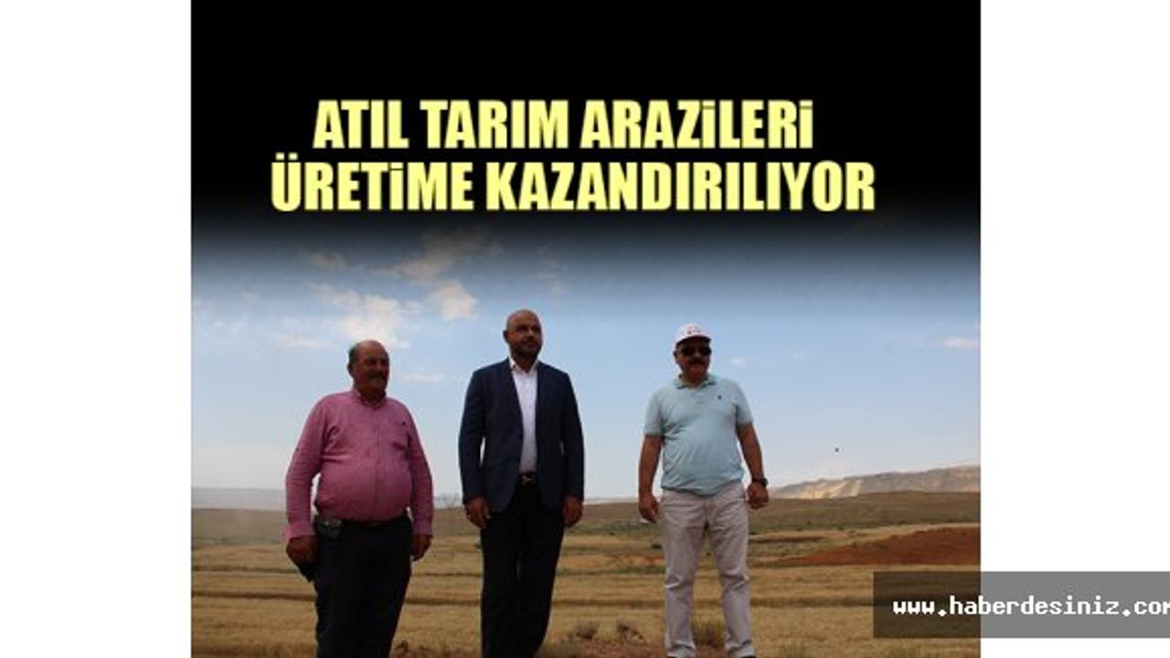 Atıl Tarım Arazileri Üretime Kazandırılıyor