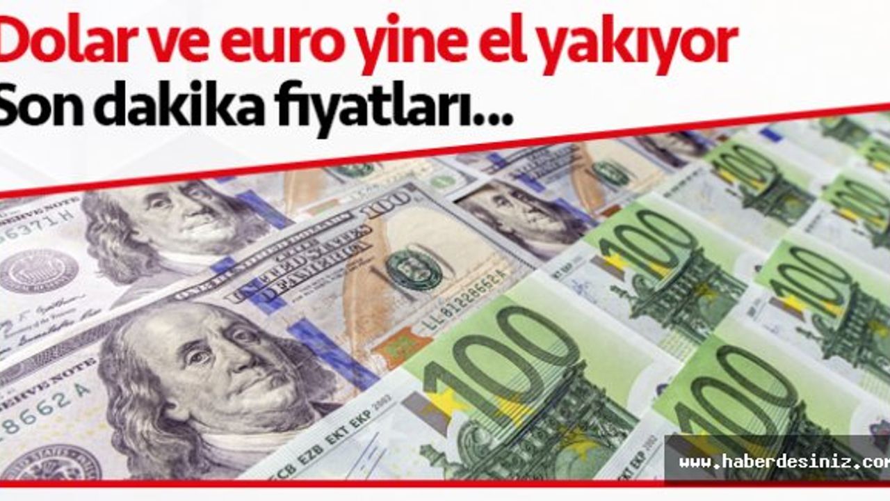 13 Ağustos Perşembe döviz fiyatları | Dolar kaç lira? Euro kaç lira?