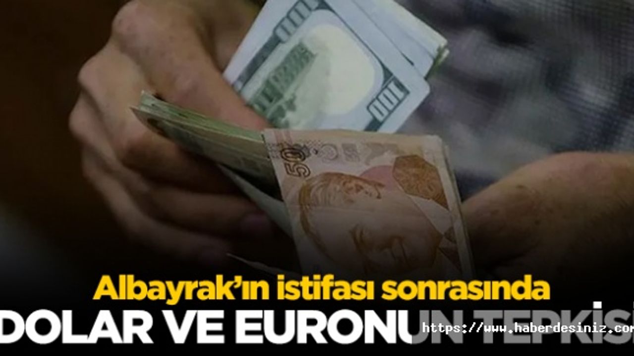 Berat Albayrak'ın istifası sonrası dolar ve euro kaç lira? 9 Kasım döviz fiyatları