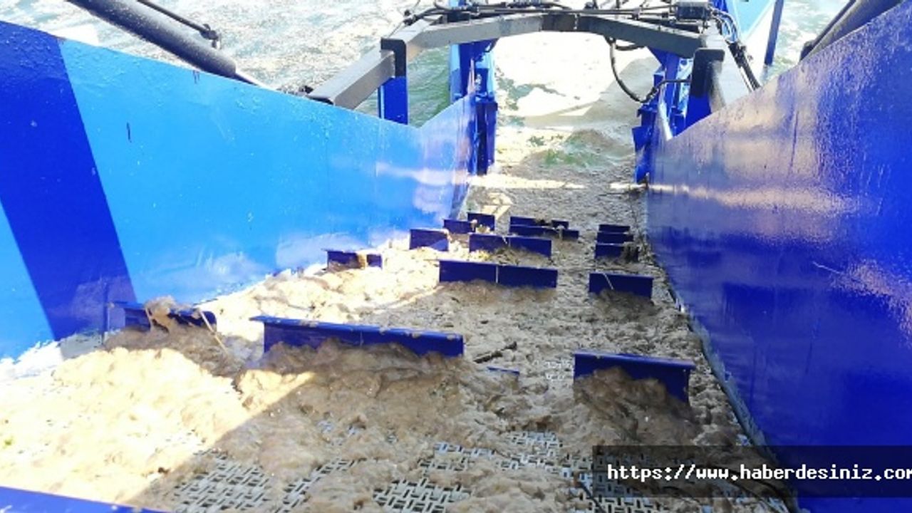 İBB’den deniz salyasına karşı mudanya görevi