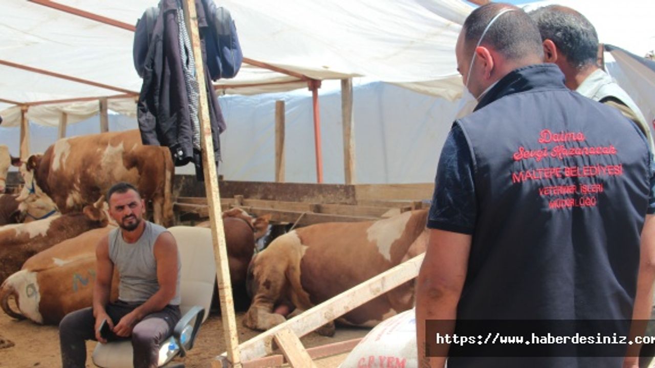 Maltepe’nin tek kurban pazarı bayrama hazır
