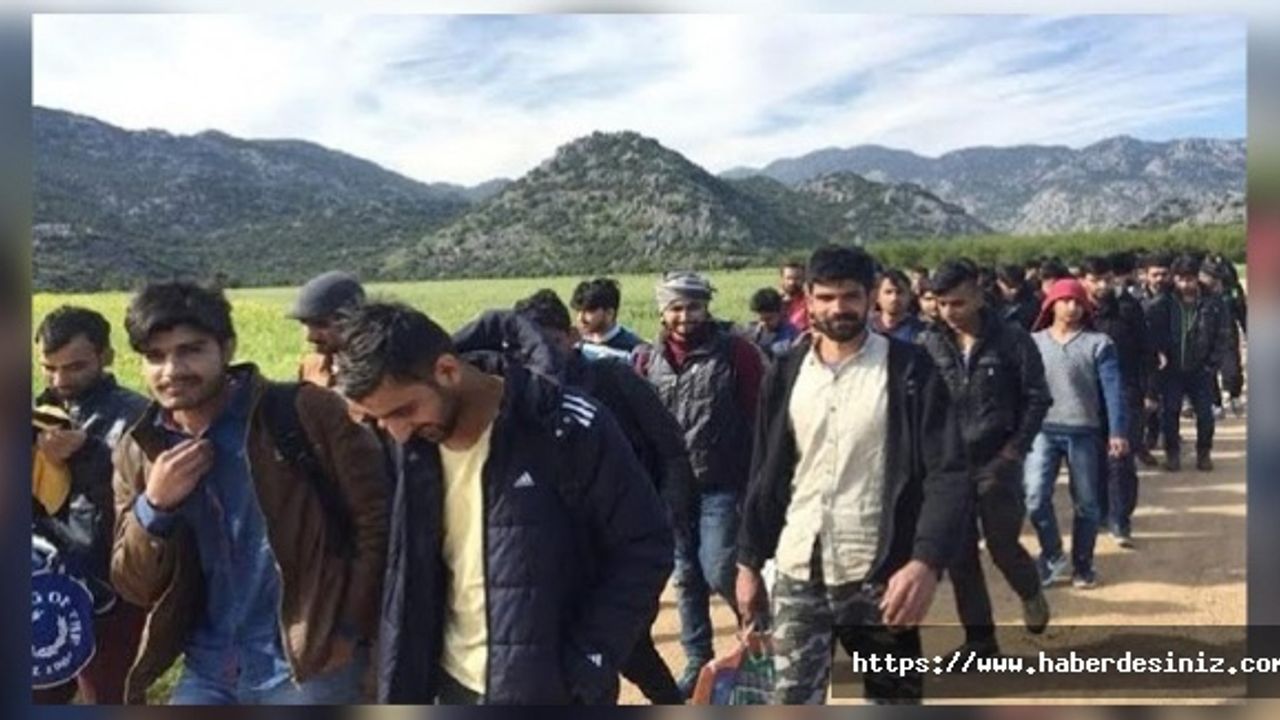 "Sınırlarda kontrol yok, yol geçen hanına dönmüş"