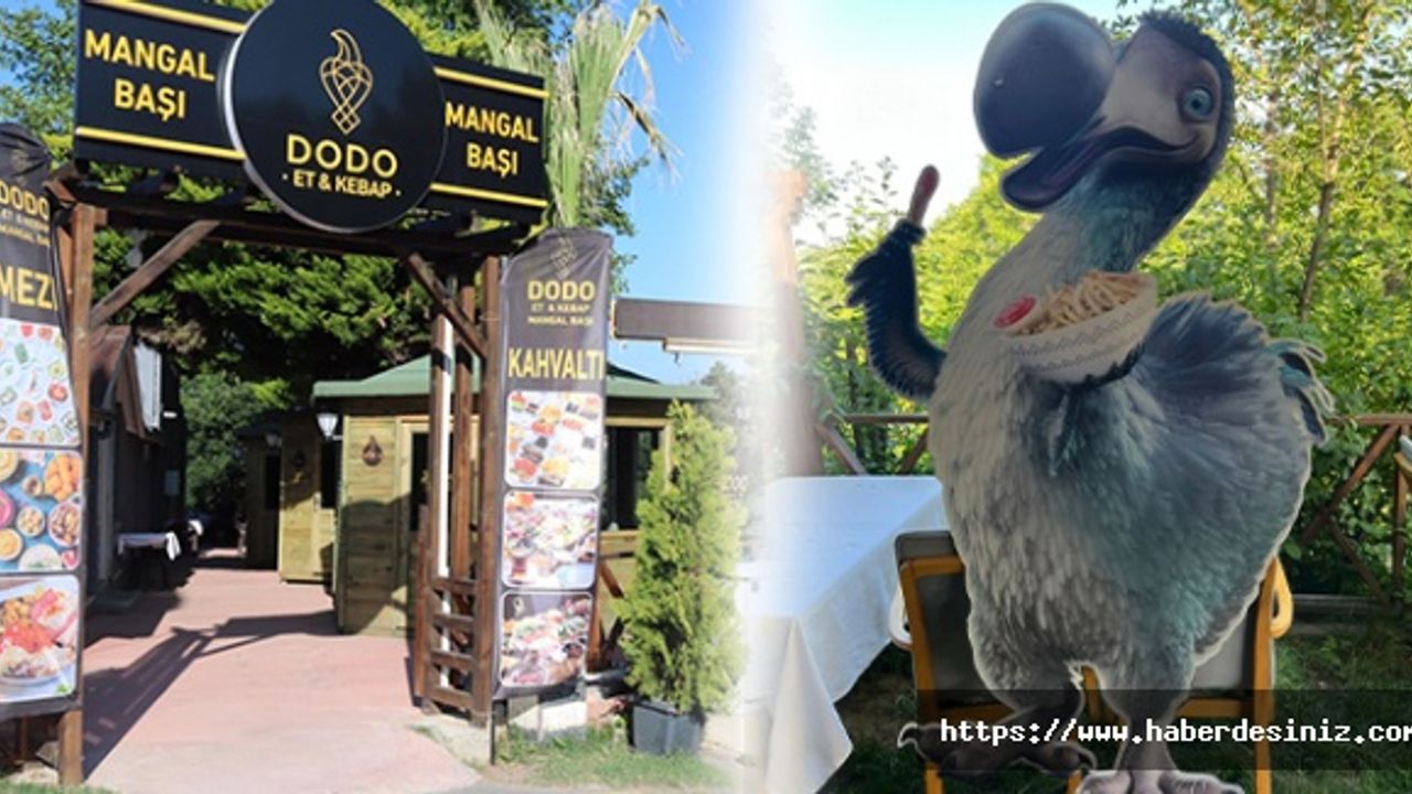 İstanbul'da doğa harikası mekan 'Dodo'