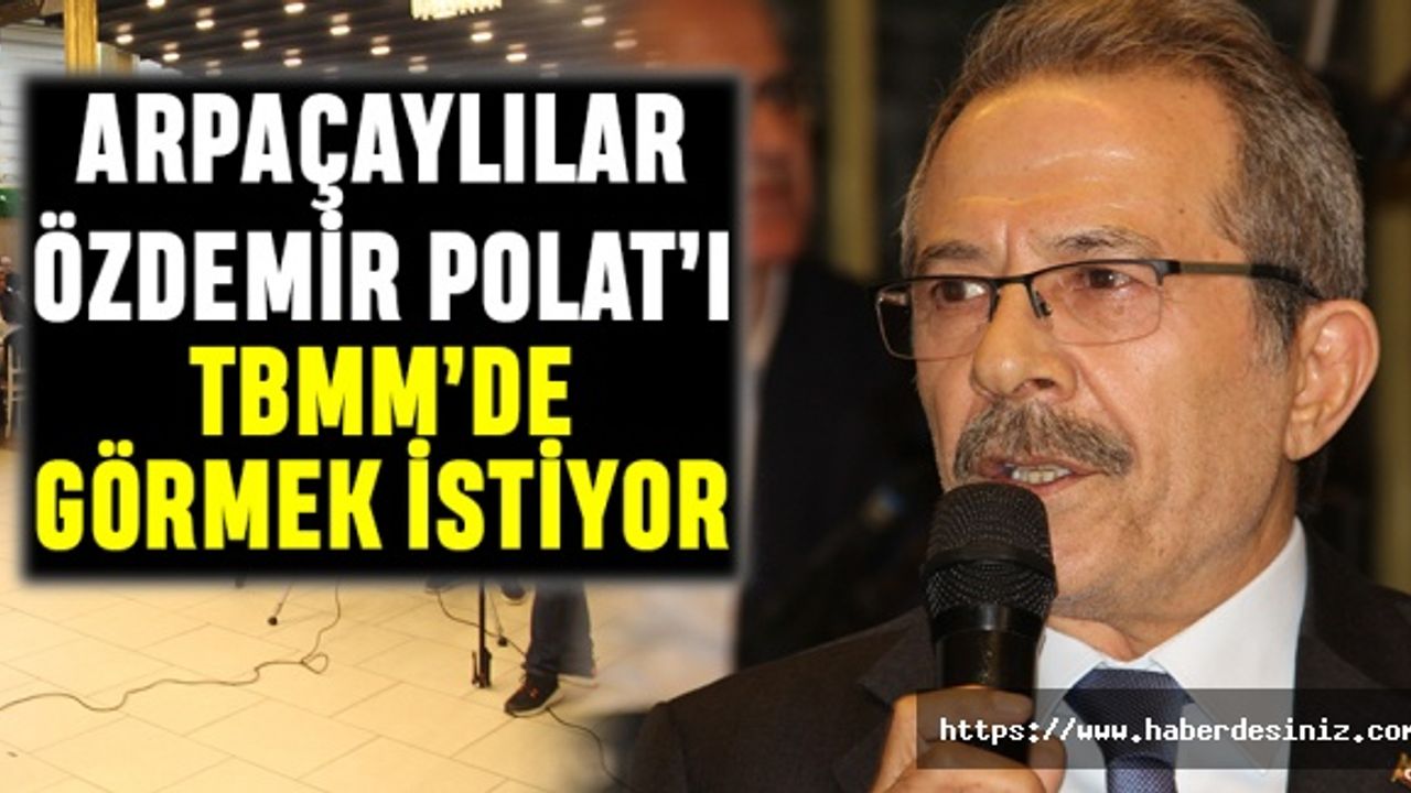 Arpaçaylılar Özdemir Polat'ı TBMM de görmek istiyor