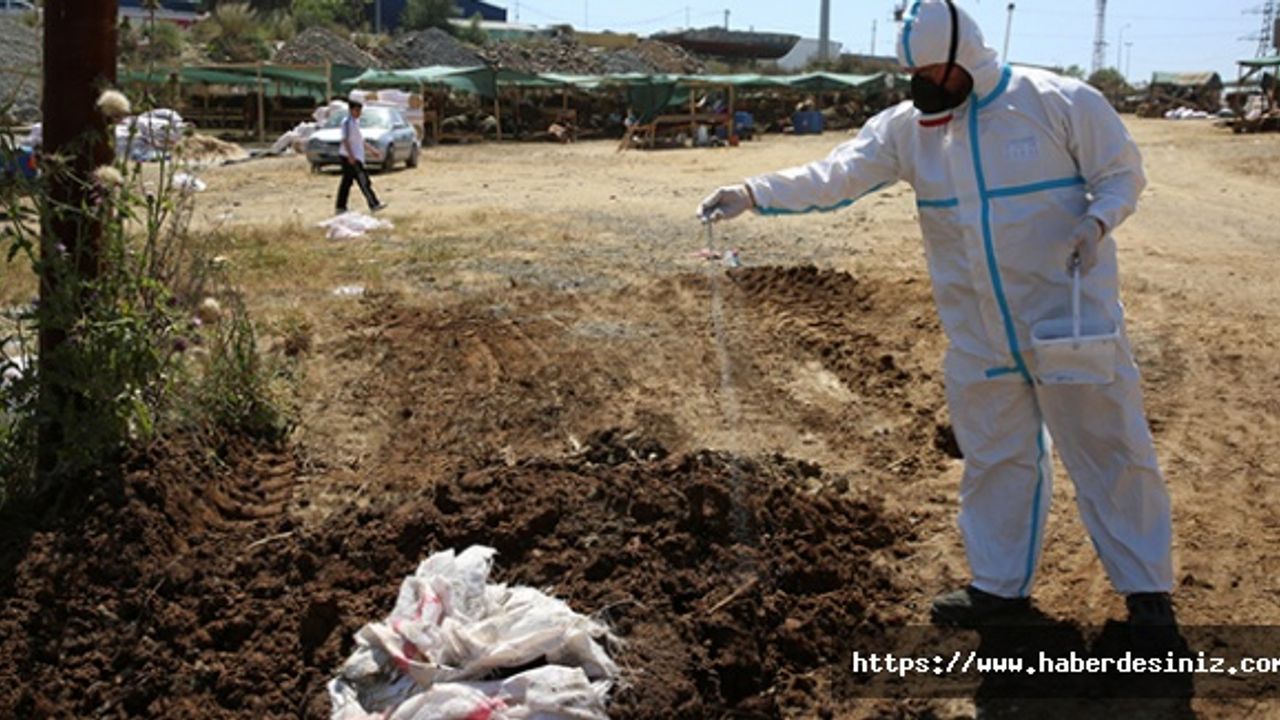 Eyüpsultan'da kurban kesim alanlarında hummalı çalışma