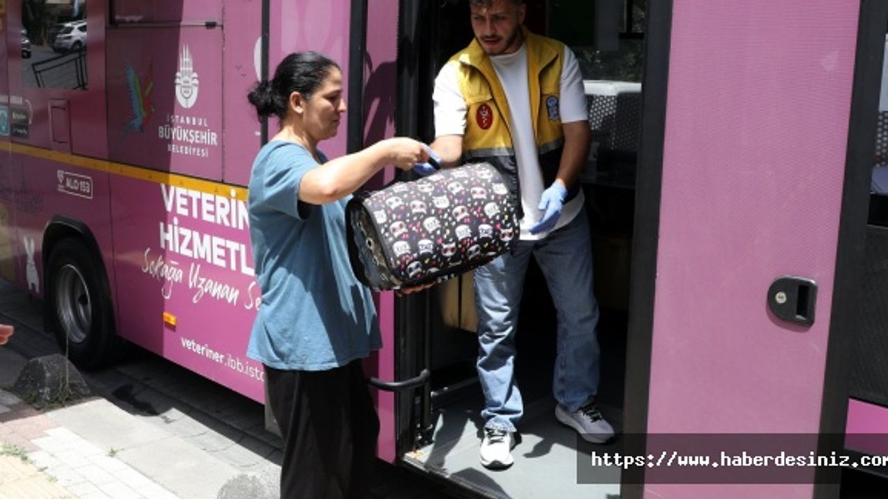 2 Ayda 280 Sokak Hayvanına VETBÜS ile Sağlık Kontrolü