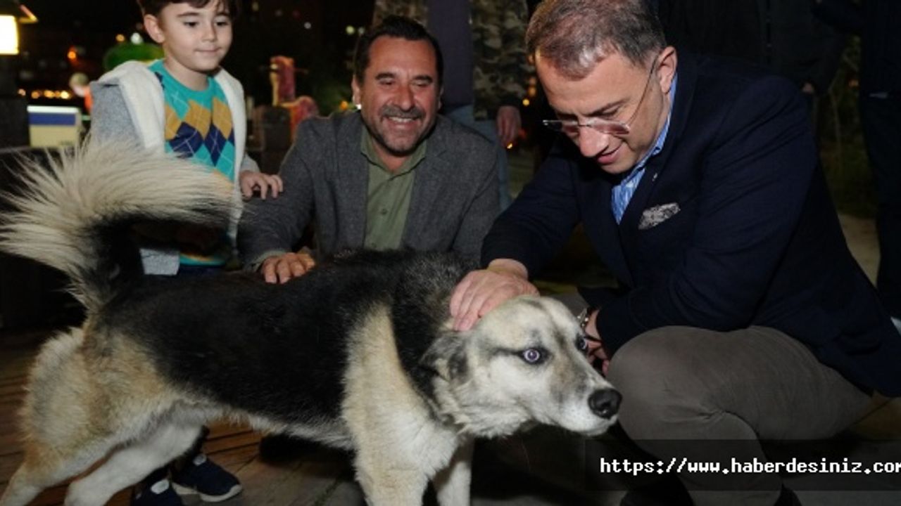 Mehmet Murat Çalık: "Belediyeler ve Vatandaşlar Bilinmezliğe Sürüklendi!"