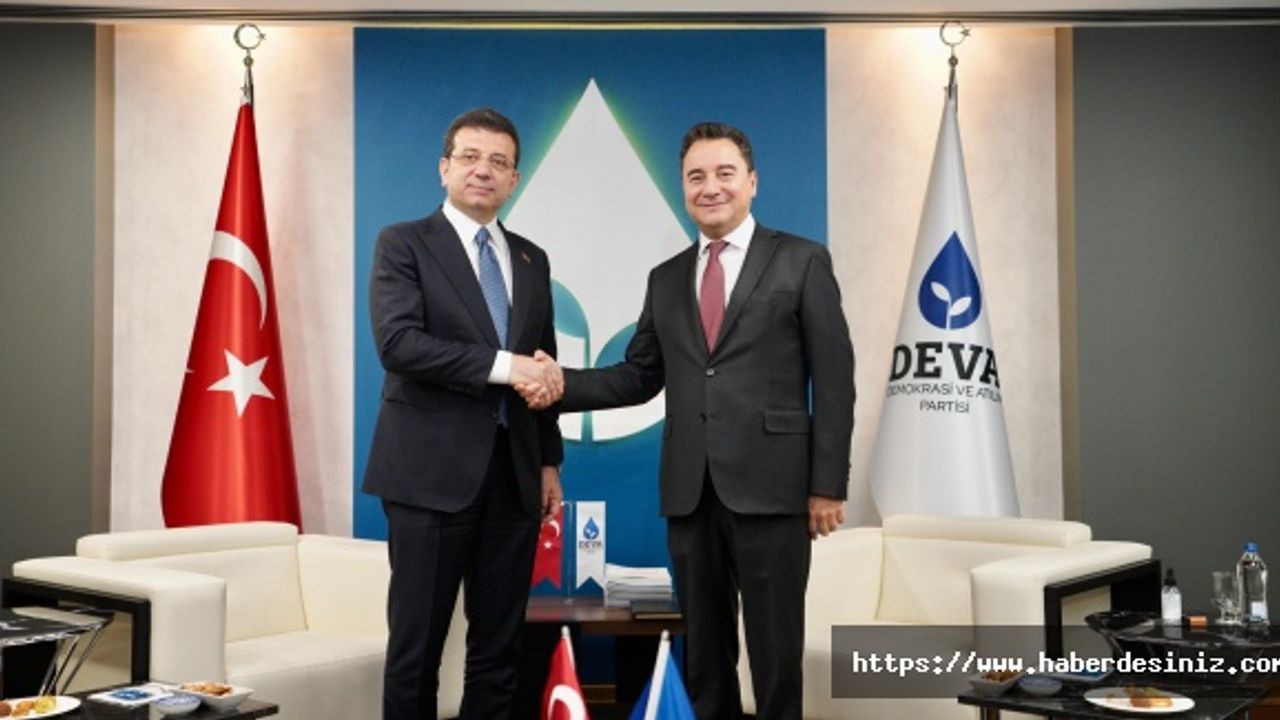 Babacan'dan tepki: ''Milli birliğimiz ve beraberliğimiz zarar görüyor''