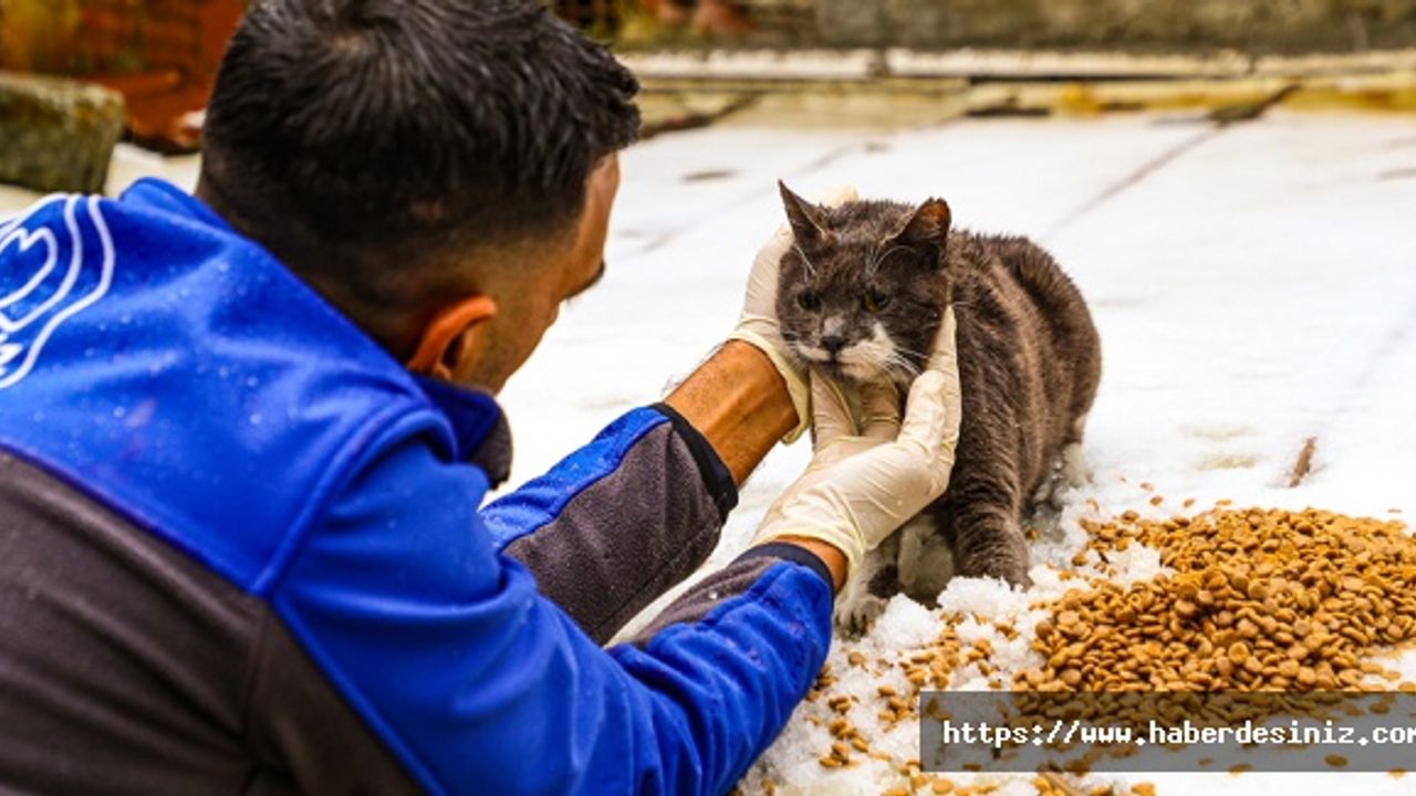 Gaziosmanpaşa'da şefkat eli uzanıyor