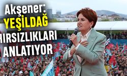Akşener; Yeşildağ nasıl hırsızlık yapıldığını anlatıyor