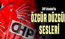 CHP İstanbul’da Özgür Düzgün sesleri