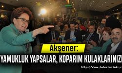 Akşener: "Söz verdikçe bazen ayva çıkıyor"