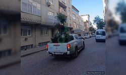 Sultangazi'de Sağlık İçin Yaz Boyu İlaçlama