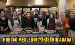 Hobi Mi Meslek Mi? İkisi Bir Arada!