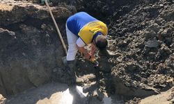 Alipaşa Köy Çeşmesi yeniden hayat buldu