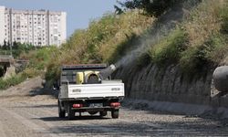 Bakırköy Belediyesi ve İBB’den Yaz Aylarında Vektörle Yoğun Mücadele