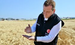 Silivri Belediyesi’nden Sosyal Dayanışma Hamlesi: Buğday Hasadı Tamamlandı, Un ve Saman Dağıtımı Başlıyor