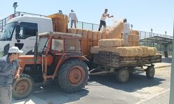 Silivri Belediyesi’nden Çiftçilere Saman Desteği: 250 Üreticiye Balyalar Teslim Edildi