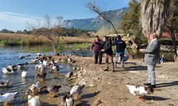 Akyaka Azmak Nehri’nde Kuş Gribi Tespit Edildi: Yetkililerden Acil Uyarı
