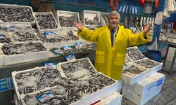 Hamsi Fiyatları Dibe İndi! 4 Kilosu 200 Lira — Balıkçılardan “Dolapları Doldurun” Çağrısı