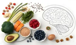 Zihinsel Performansı Besinler Değil, Alışkanlıklar Güçlendiriyor