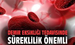 Demir Eksikliği Tedavisinde Süreklilik Hayati Önem Taşıyor